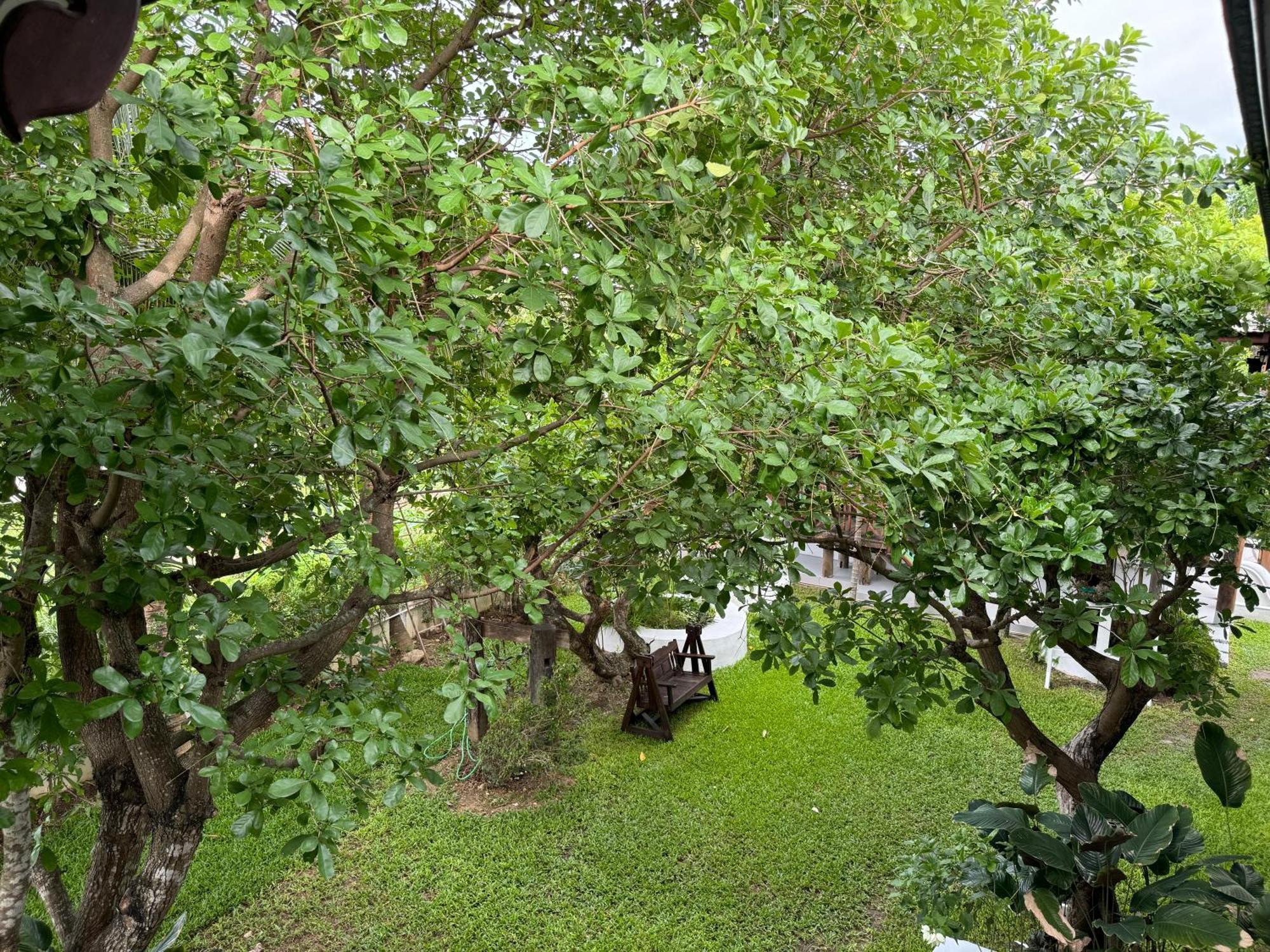 Chiang Mai Las Orquideas Resort Exterior photo